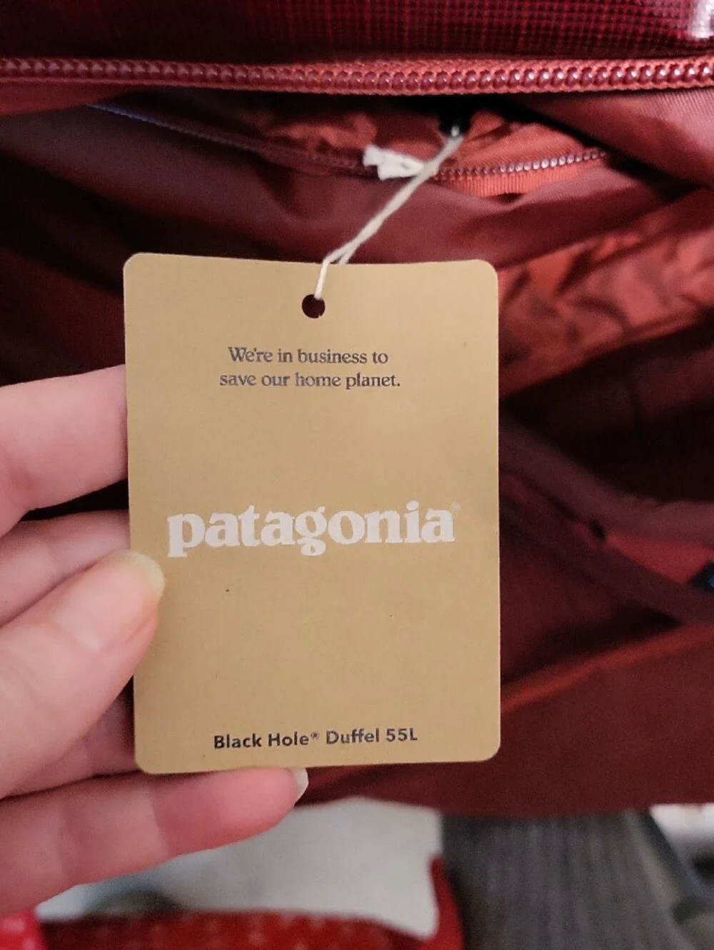 Retired-Patagonia Black Hole Duffle Bag 55L in Wax Red